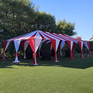 Naked Canopy Draping - Frame Only