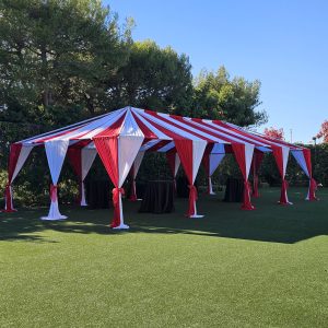 Canopy Top w/ Draping