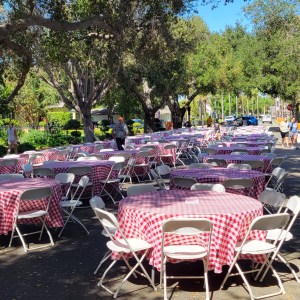 Red Plaid Polyester Linen