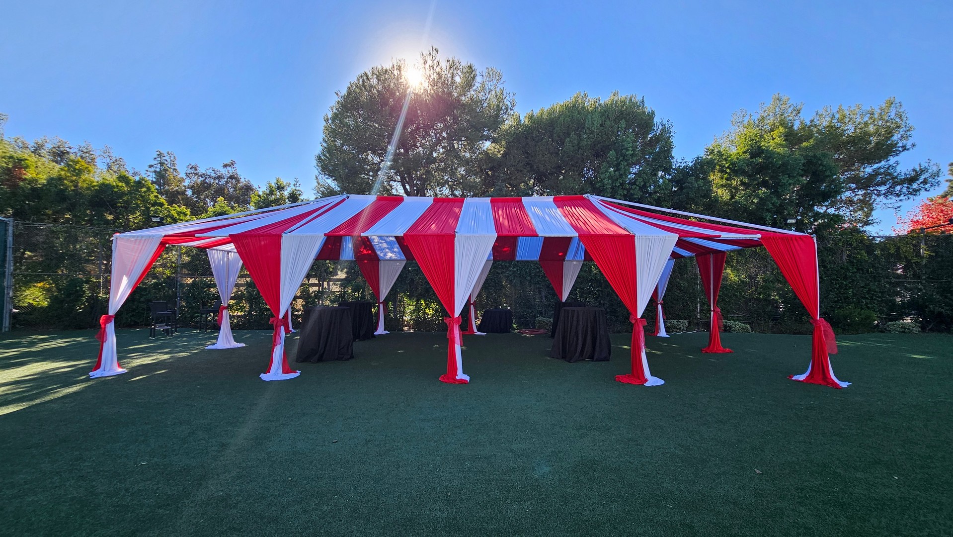 Canopy Top w/ Draping - Image 4