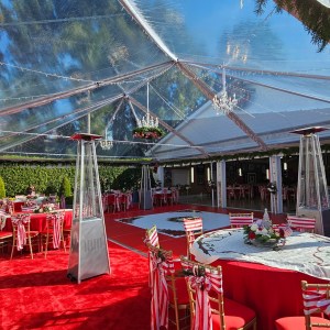 30′ Wide Clear Canopy